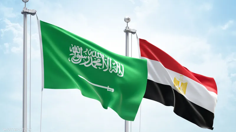  الدراسة في مصر