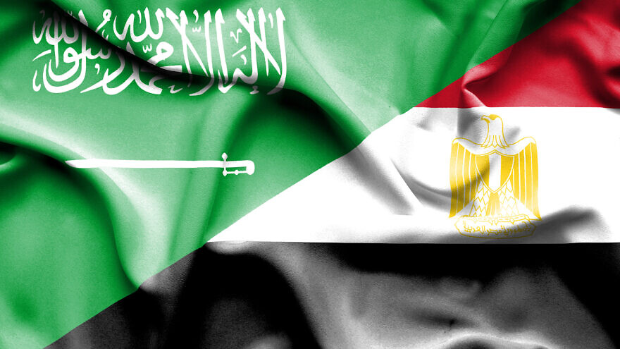 الزمالة المصرية لطب الاسنان
