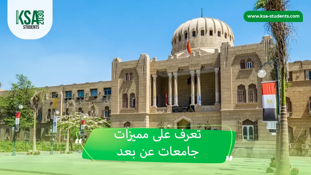 جامعات عن بعد