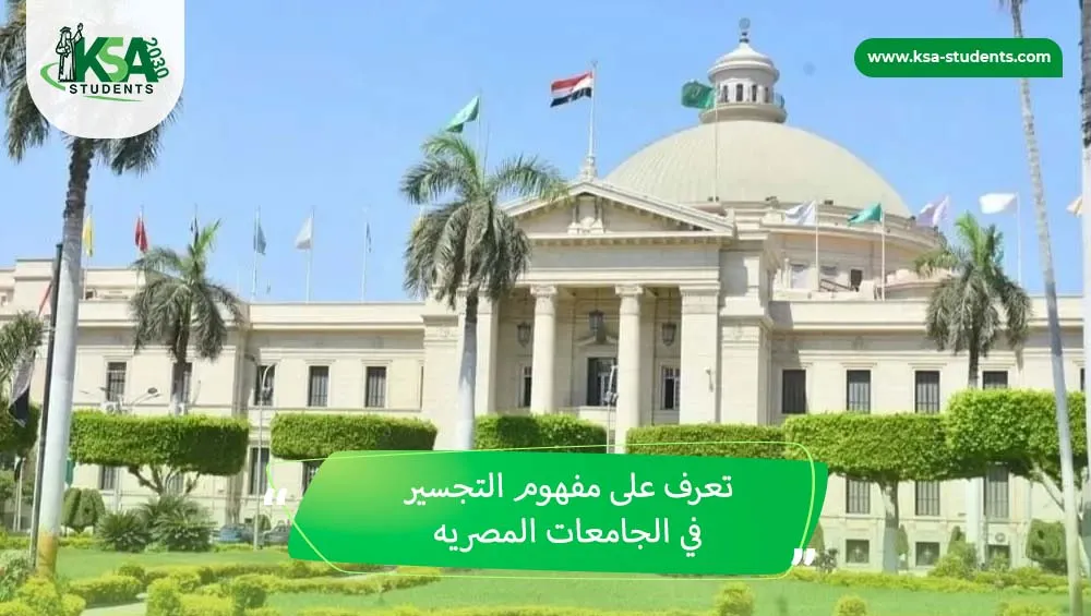 التجسير في الجامعات المصرية
