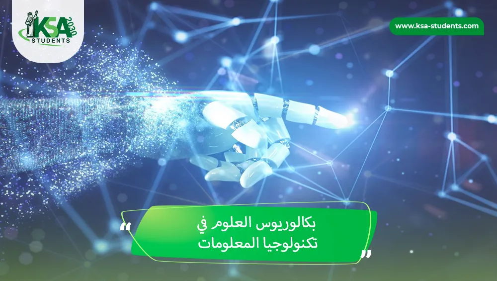 بكالوريوس العلوم في تكنولوجيا المعلومات