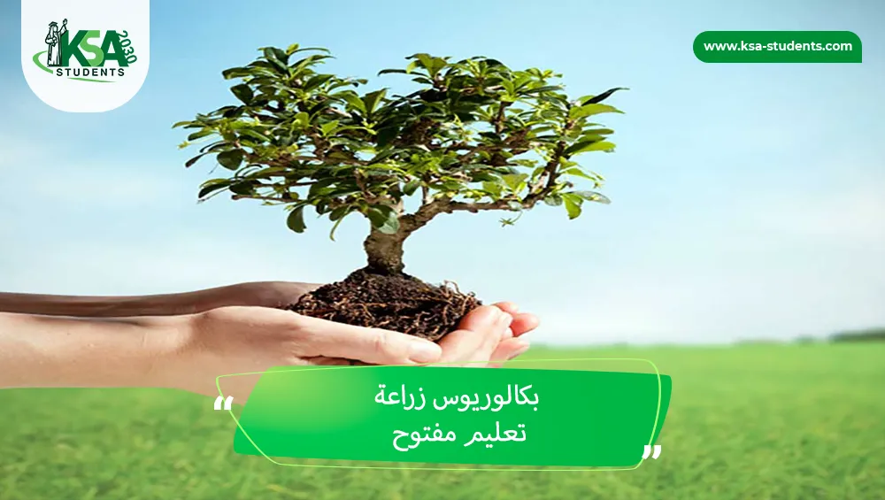 بكالوريوس زراعة تعليم مفتوح
