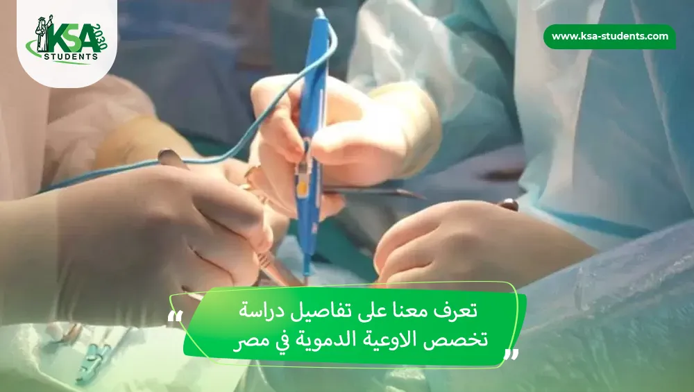 دراسة تخصص الاوعية الدموية في مصر