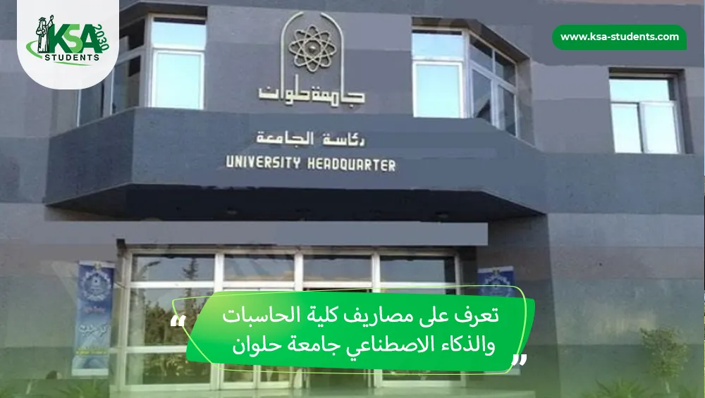 مصاريف كلية الحاسبات والذكاء الاصطناعي جامعة حلوان